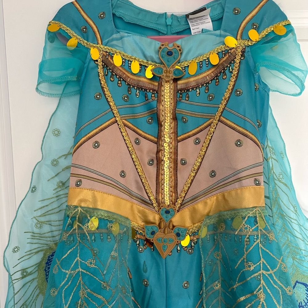 - Princess jasmine costume size S/P (4-6X)